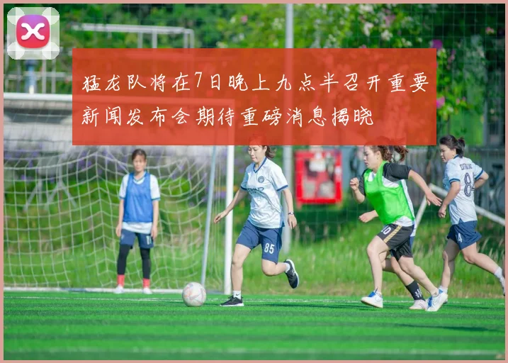 猛龙队将在7日晚上九点半召开重要新闻发布会期待重磅消息揭晓