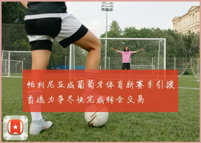 帕利尼亚成葡萄牙体育新赛季引援首选力争尽快完成转会交易